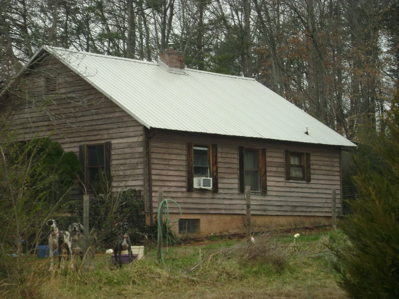White metal roof on an old wood sided farmhouse, from a Metal Roof Installation job in Port Orchard